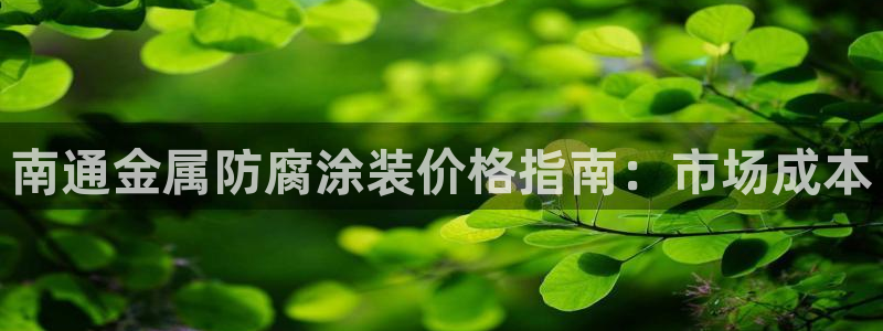 美高梅国际酒店集团资产