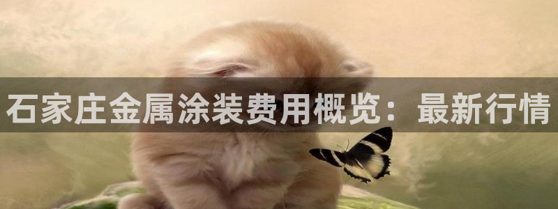 澳门新开美高梅的酒店