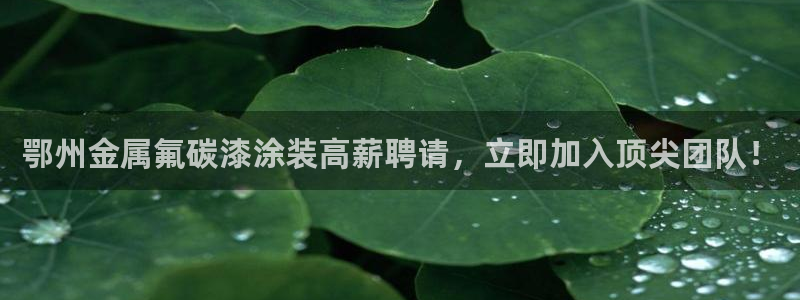 美高梅儿童乐园官网