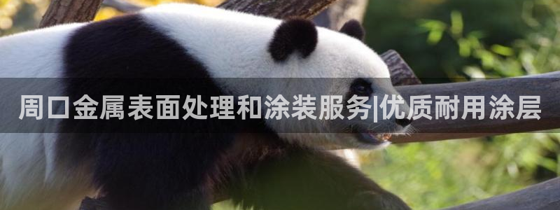 美狮美高梅酒店一晚多少钱
