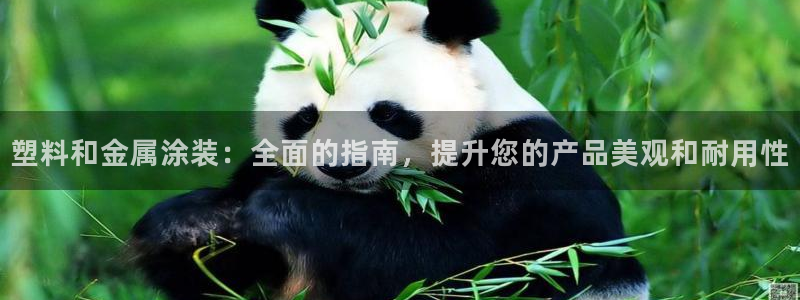 美高梅软件转钱准成吗