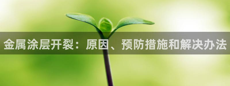 美高梅线上电子官网