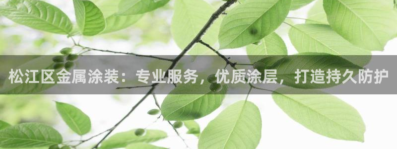 美高梅百款游戏手机版