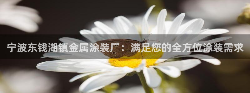 美高梅公司位置