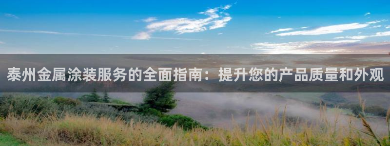 美高梅中国控股有限公司