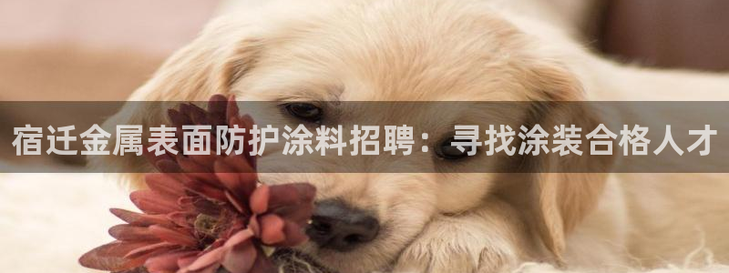 美高梅旗下