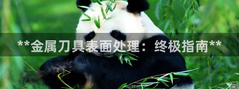 美高梅是做什么的宁波