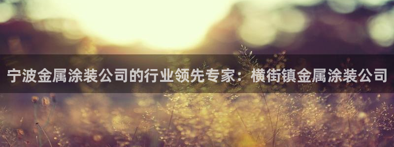 美高梅酒店澳门几星级
