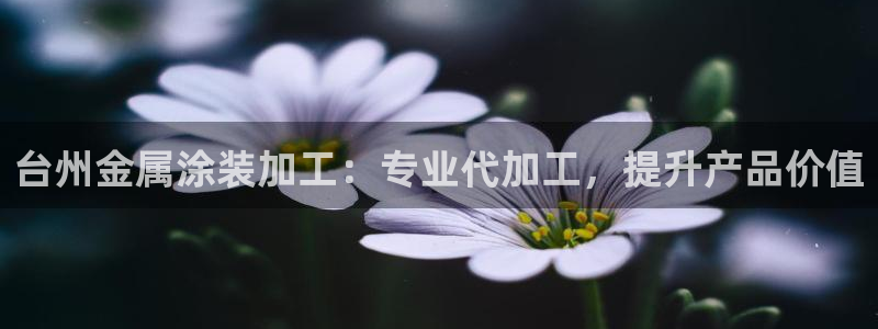 美高梅酒店地址