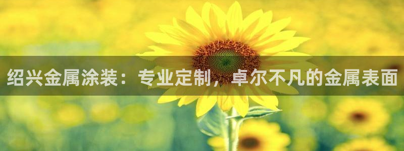 美高梅的老板是谁?
