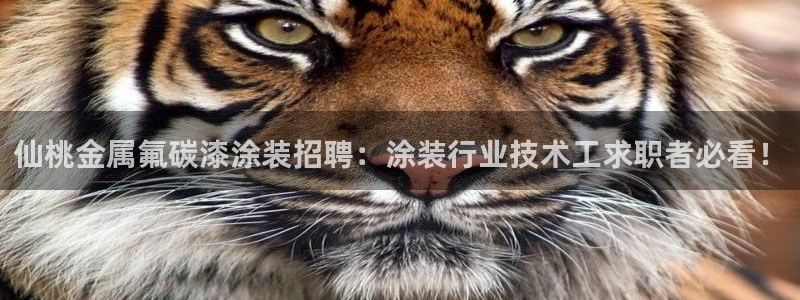 美高梅手机游戏