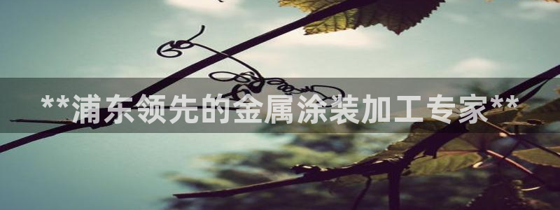 美高梅金卡是什么