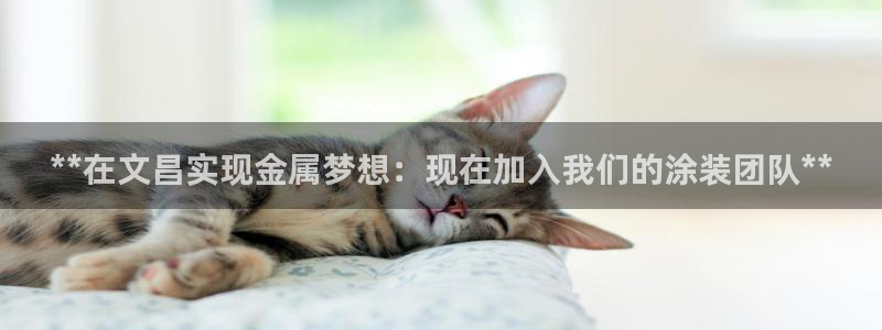 美高梅酒店地址