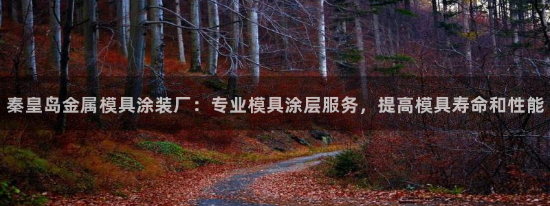美高梅 何超琼