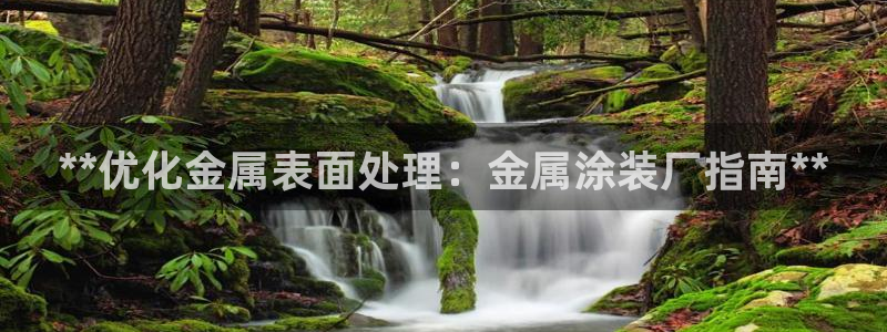 美高梅洗护用品