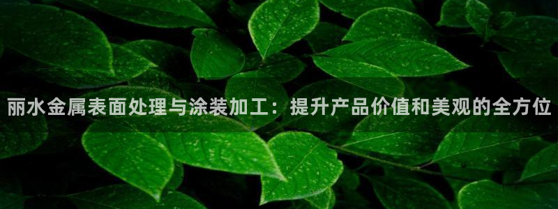 美高梅如亿掌