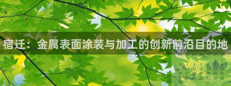 美高梅会员卡