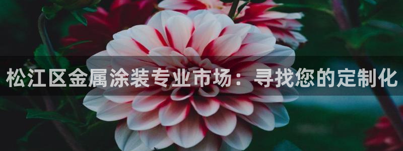 美高梅会员卡可以免宠物清洁费