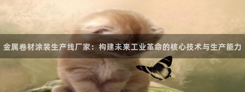 美高梅控股有限公司是国企吗