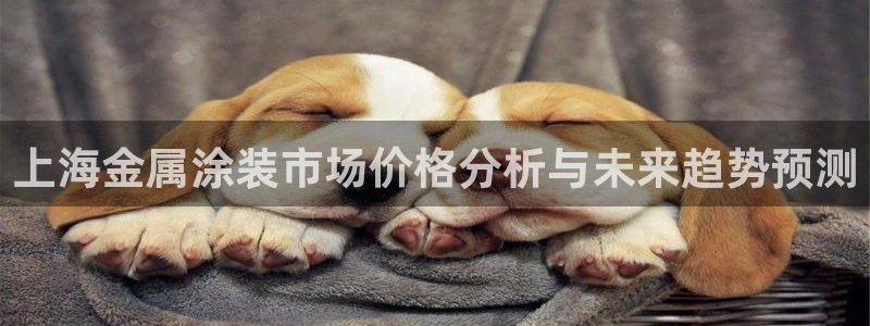 美高梅股票代码09128