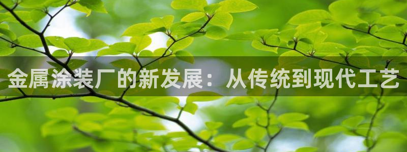 美高梅年卡