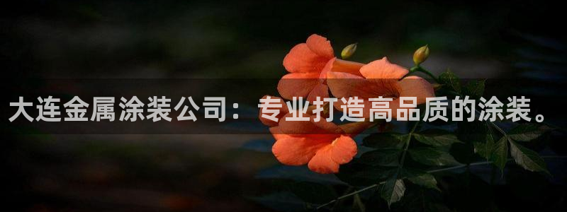 美高梅空中海洋秀