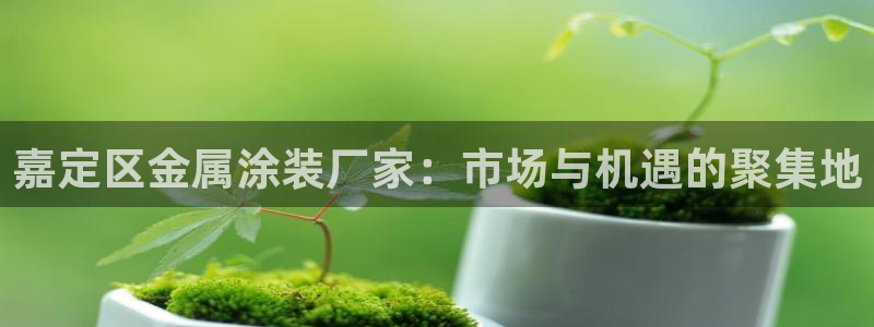 美高梅金狮卡是什么卡