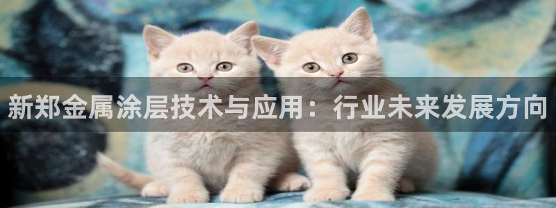美高梅是做什么的宁波