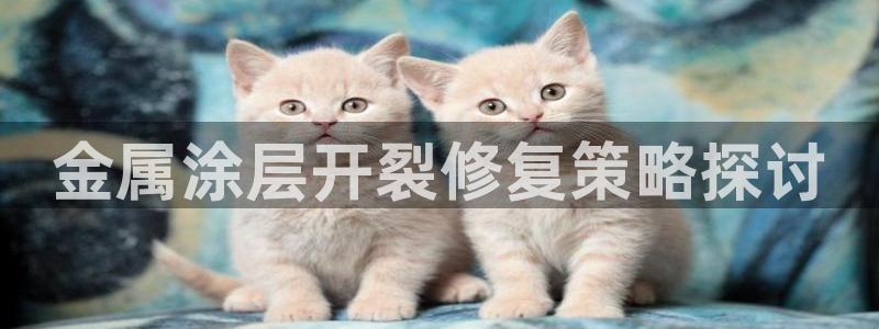 美高梅别墅区