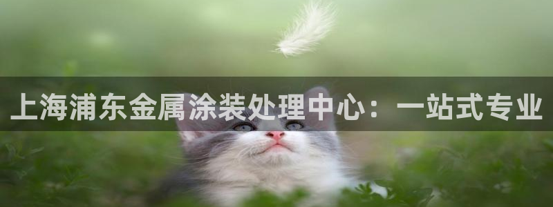 美高梅剧院官网