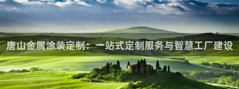 美高梅是谁的公司