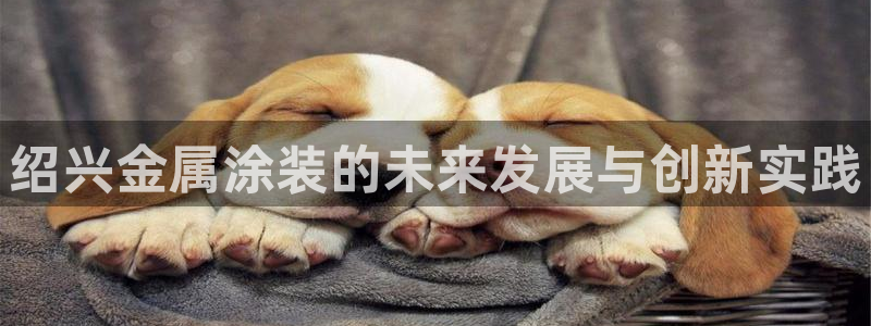 美高梅是谁的酒店