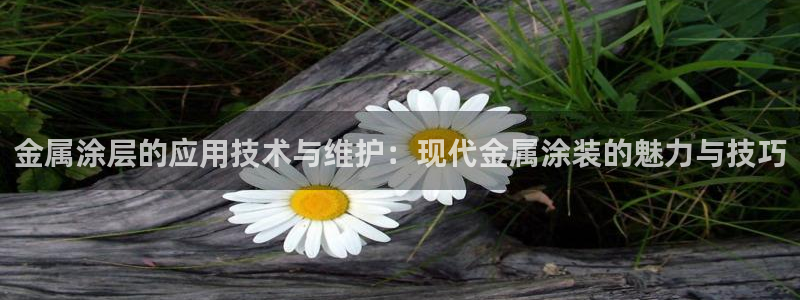 美高梅酒店风水