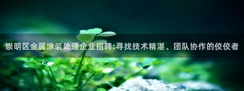 美高梅小梅沙招聘