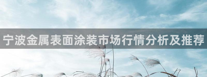 美高梅手机游戏怎么玩：宁波金属表面涂装市