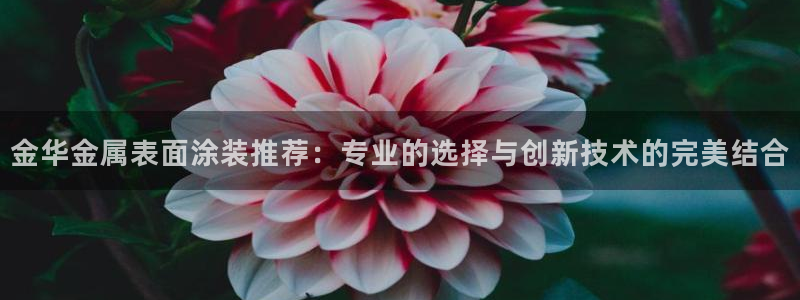 美高梅美荟酒店