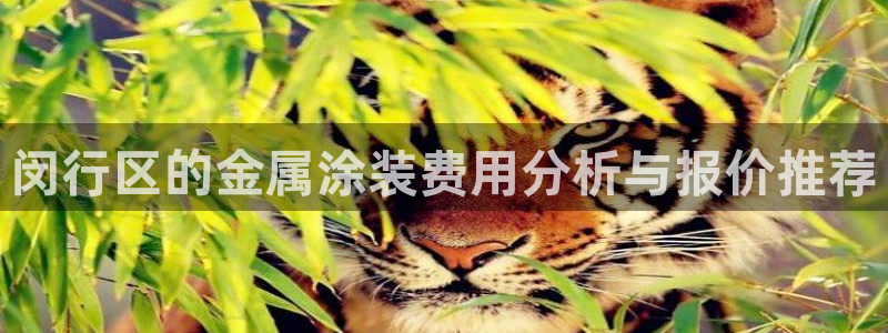 美高梅和永利是一家吗