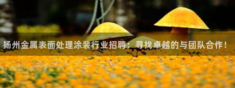 美高梅别墅地址