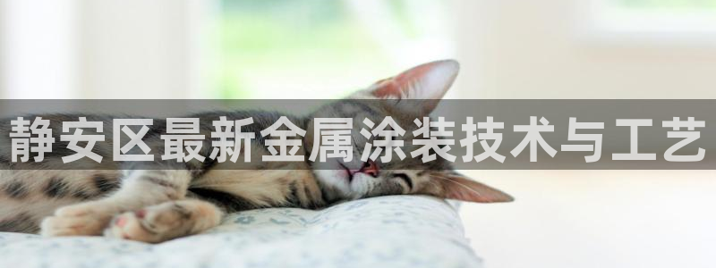 美高梅老板何超琼