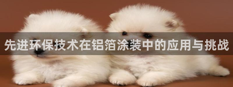 美狮美高梅酒店开业