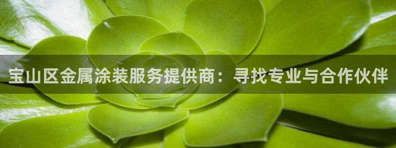 美高梅会员等级怎么看