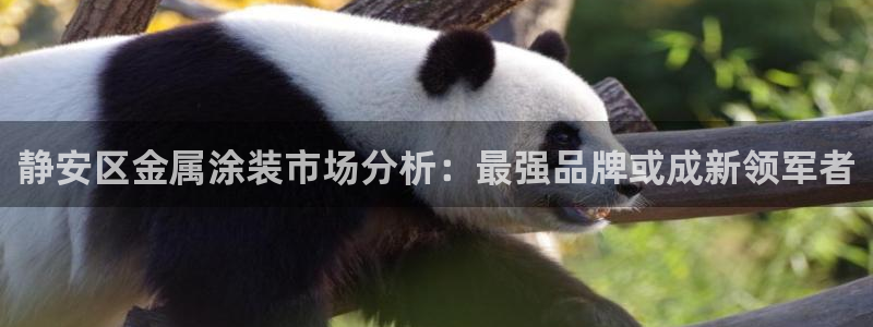三亚美高梅度假酒店是何超琼的吗