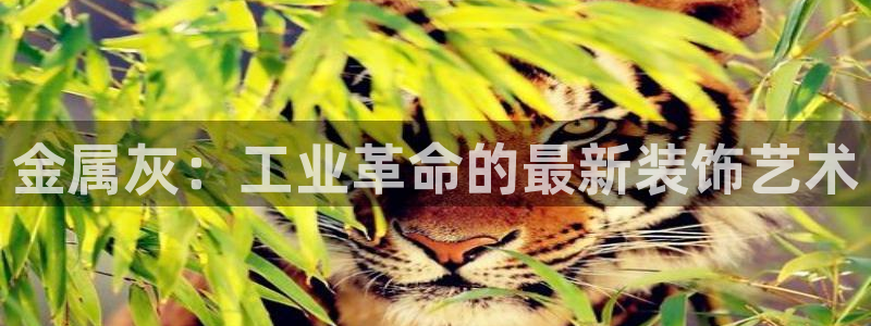 美高梅酒店在三亚哪个区