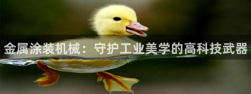 美狮美高梅酒店离哪个口岸近