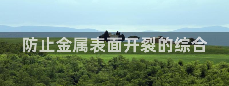 美高梅是谁的产业