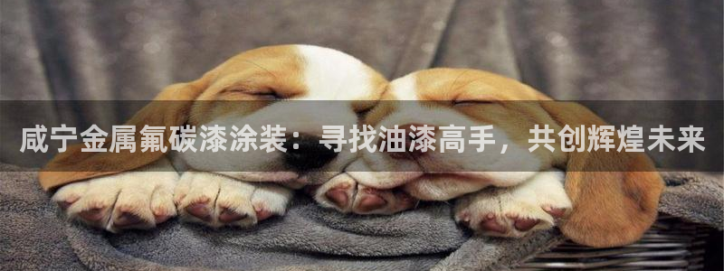 美高梅别墅售楼处