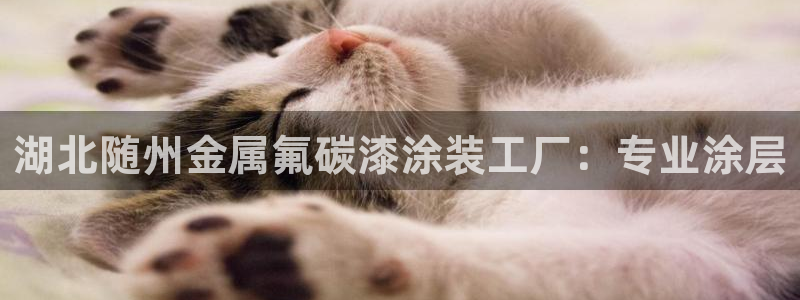 美狮美高梅酒店是几星