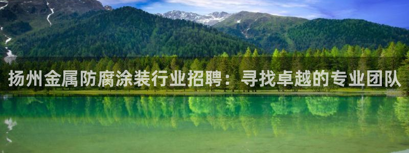 美狮美高梅酒店开业