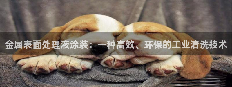 美高梅为什么是35层