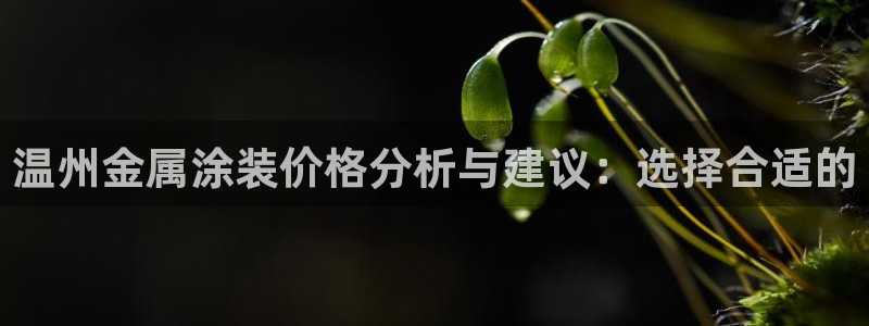 美高梅度假酒店几星级